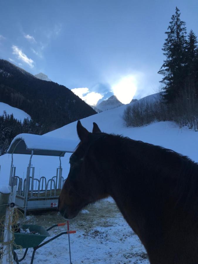 Au Pre Des Chevaux Panzió Chateau-d'Oex Kültér fotó