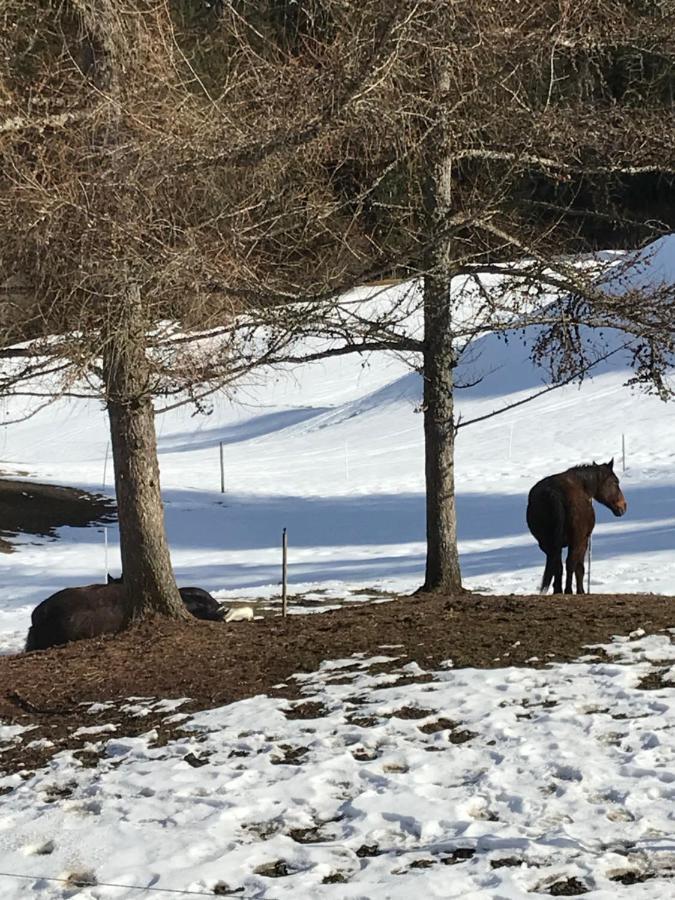 Au Pre Des Chevaux Panzió Chateau-d'Oex Kültér fotó