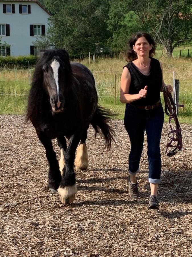 Au Pre Des Chevaux Panzió Chateau-d'Oex Kültér fotó
