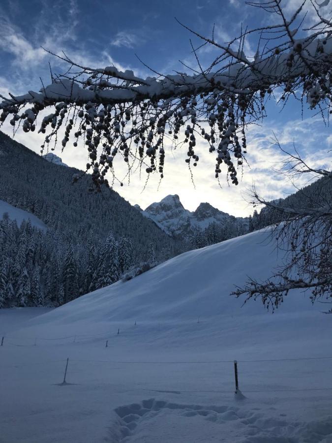 Au Pre Des Chevaux Panzió Chateau-d'Oex Kültér fotó