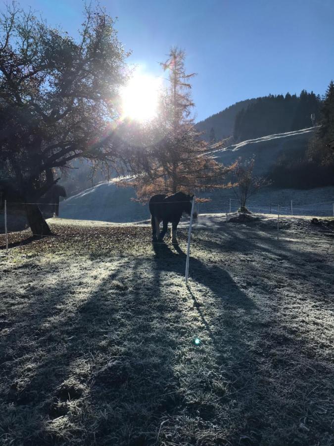 Au Pre Des Chevaux Panzió Chateau-d'Oex Kültér fotó