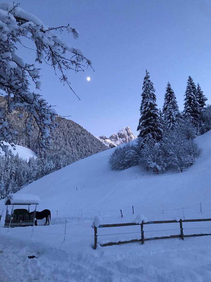 Au Pre Des Chevaux Panzió Chateau-d'Oex Kültér fotó