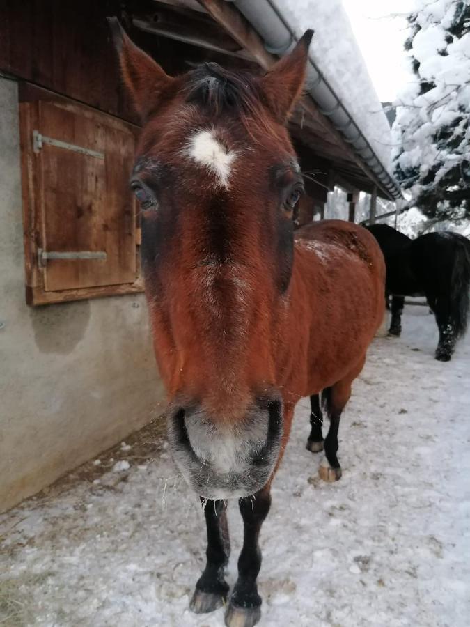 Au Pre Des Chevaux Panzió Chateau-d'Oex Kültér fotó