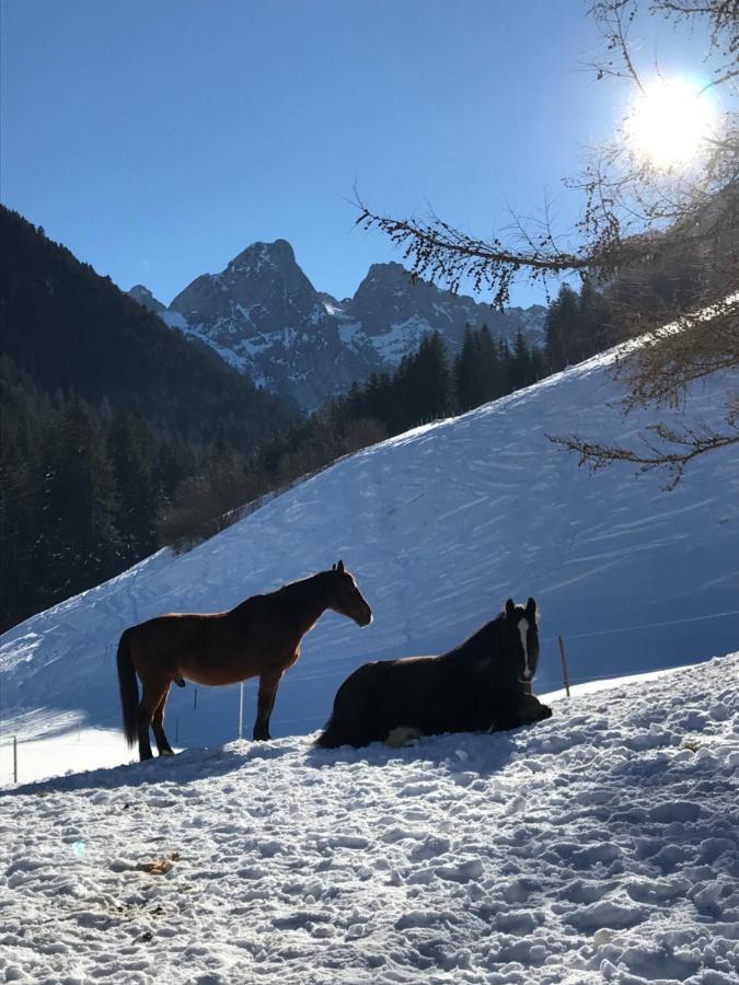 Au Pre Des Chevaux Panzió Chateau-d'Oex Kültér fotó
