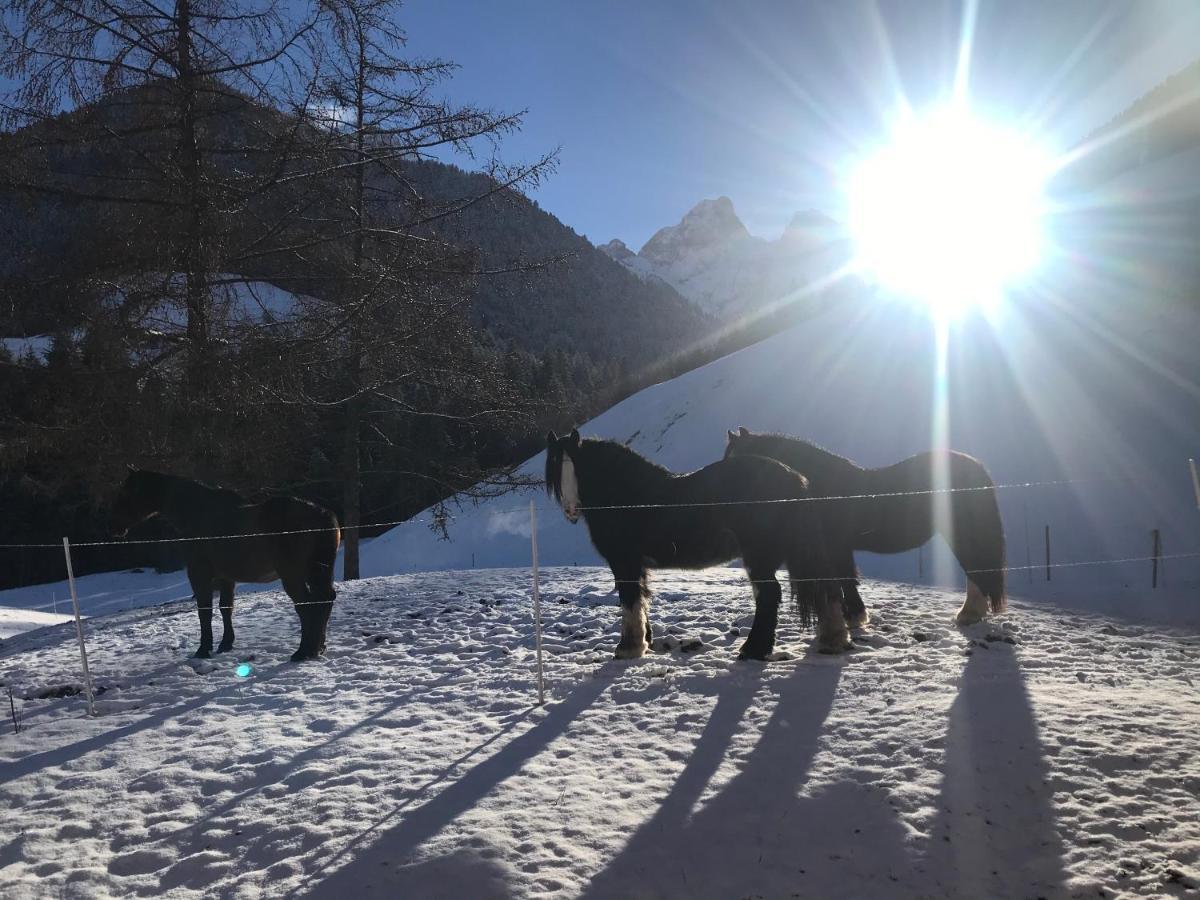 Au Pre Des Chevaux Panzió Chateau-d'Oex Kültér fotó
