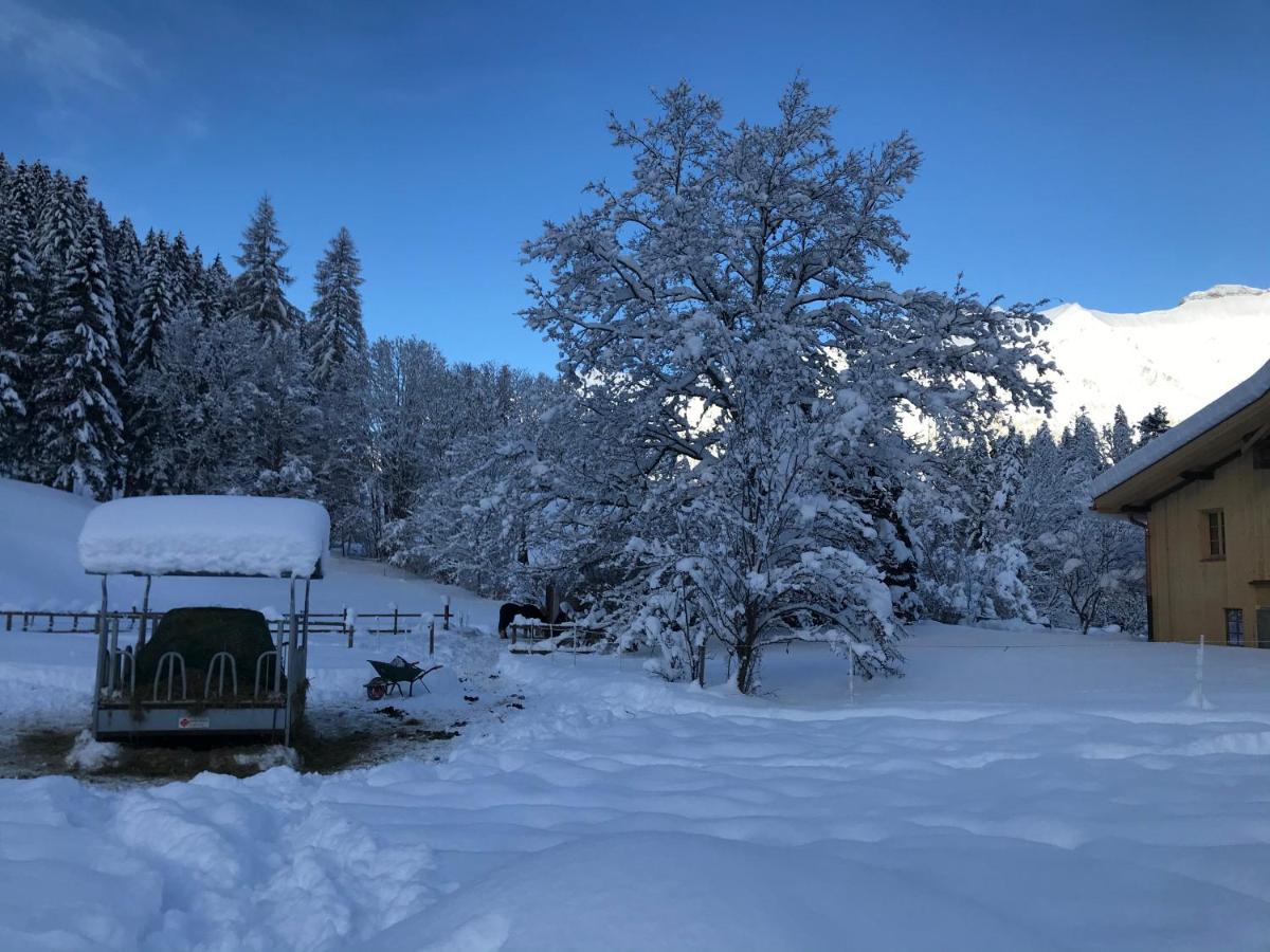 Au Pre Des Chevaux Panzió Chateau-d'Oex Kültér fotó