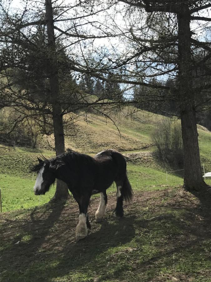 Au Pre Des Chevaux Panzió Chateau-d'Oex Kültér fotó