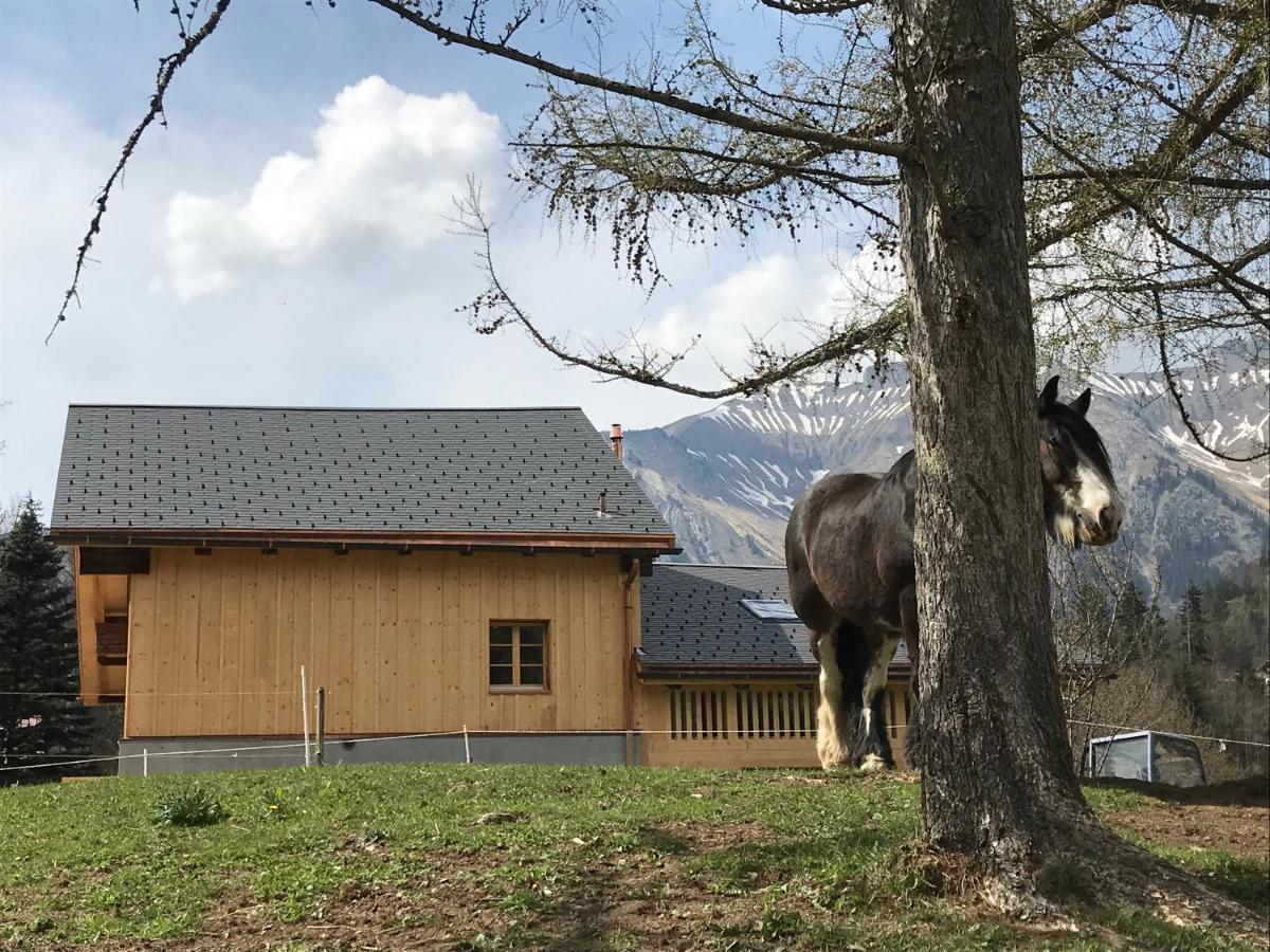Au Pre Des Chevaux Panzió Chateau-d'Oex Kültér fotó