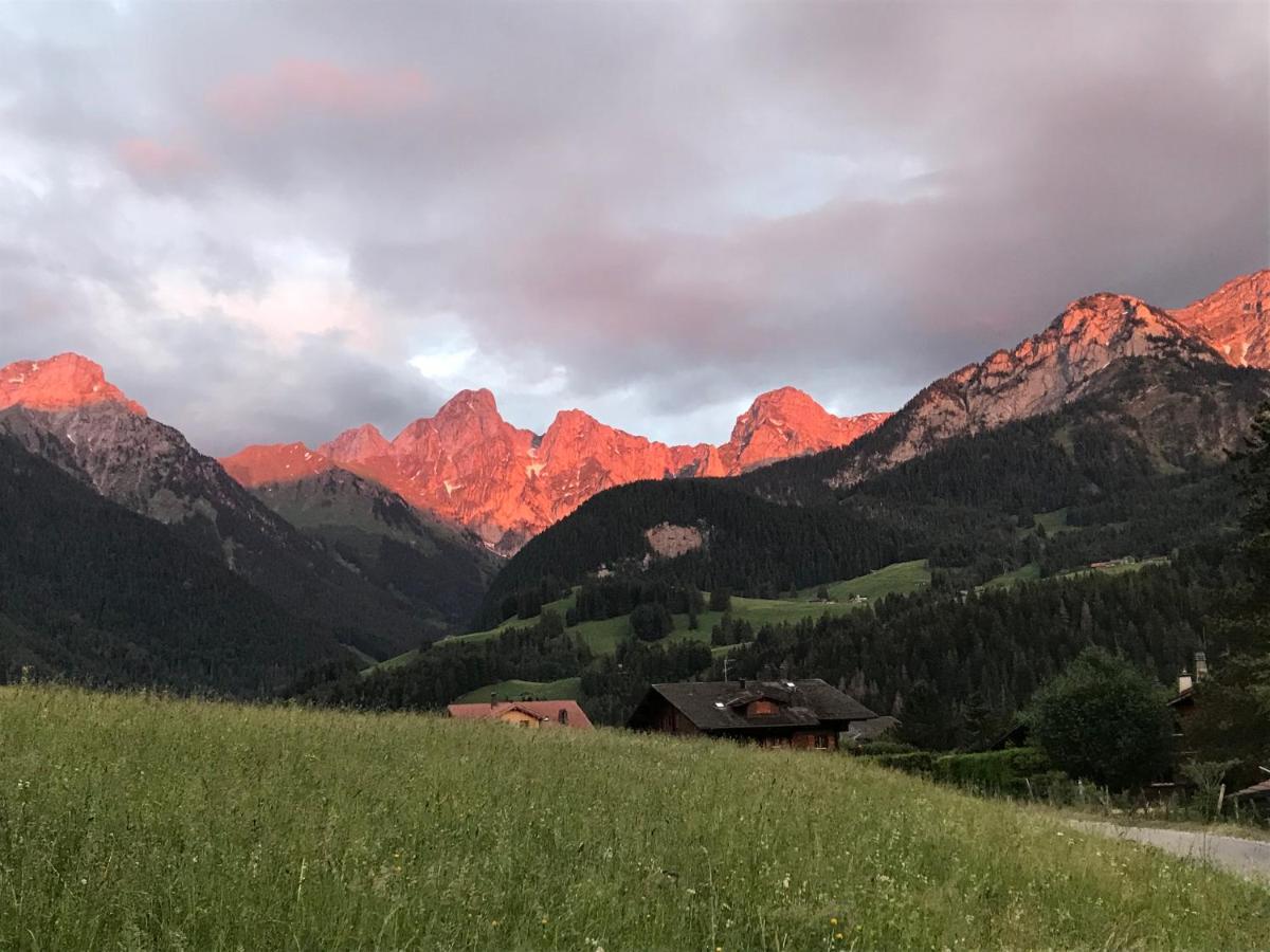 Au Pre Des Chevaux Panzió Chateau-d'Oex Kültér fotó